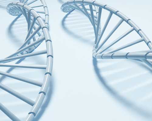 试管培养囊胚过程是怎么样的，需要多长时间？