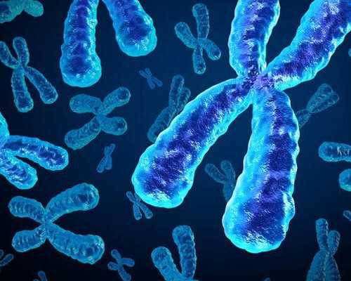 郴州输卵管积水适合做三代试管婴儿吗？