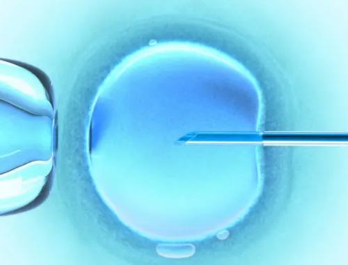 试管代孕靠谱吗,单角子宫做试管成功率高吗！单角子宫试管成功案例！