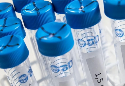 包生男孩包成功_包成功代怀孕网,有封闭抗体但是怀孕了该怎么保胎比较好？