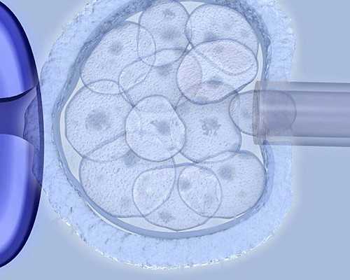 二代代生双胞胎在哪里容易养囊成功吗 如何形成囊胚