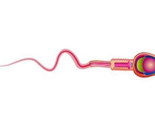 代孕费用明细一览表,卵巢早衰没有卵泡可以做试管吗？帮你解答疑惑！