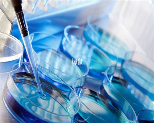 卵泡不排做试管婴儿吗