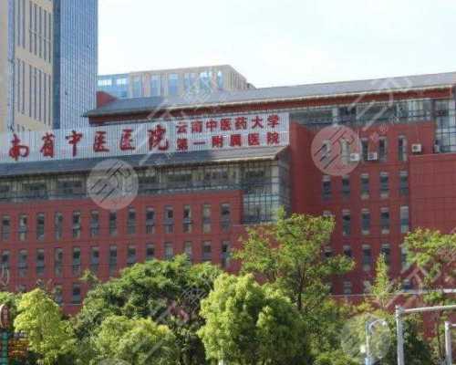 助孕公司包成功_供卵包男孩,
              怀孕一个月看男女最准的土方法是什么