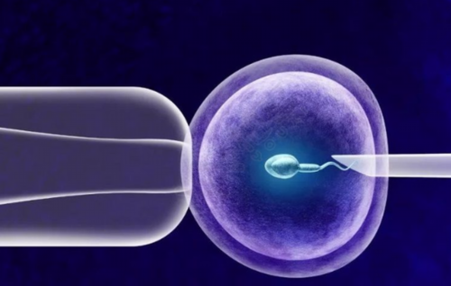 代怀包男孩多少钱_代生男孩包成功,一深一浅居然没怀孕算是假阳性吗？