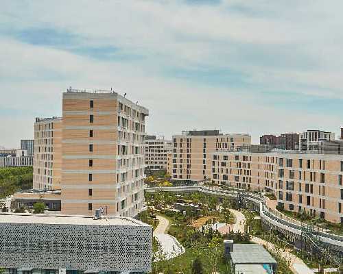 二代试管婴儿可以生育吗