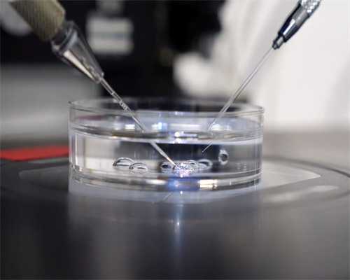 2026天门医院三代选性别代生套餐哪家医院排名比较好？附国外选性别代生套餐