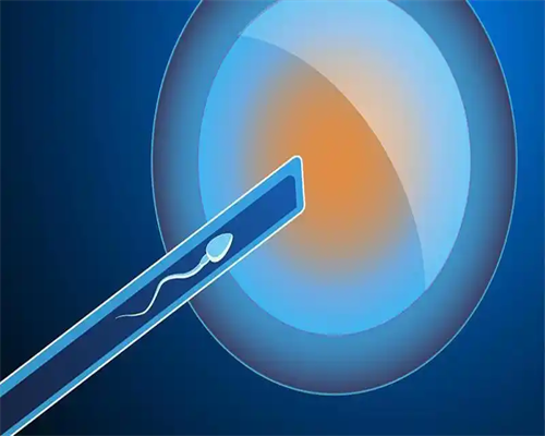 2026天津捐献精子一次补助多少？不合格有报酬吗？