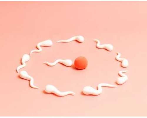 代生具体位置冻胚移植女性子宫内膜厚度为多少适合着床呢？