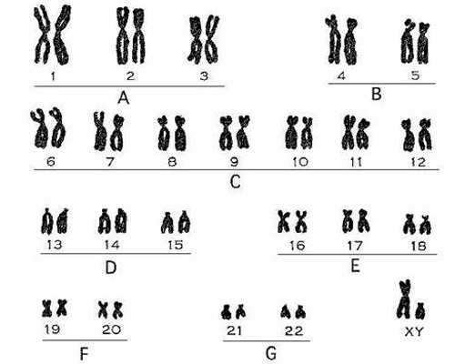 重庆女生未婚代生网正规吗成功率有多大，重庆代生网正规吗成功率有50%吗