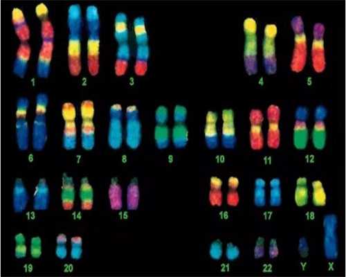 中山做三代供卵代生平台成功率比较高的医院排名榜