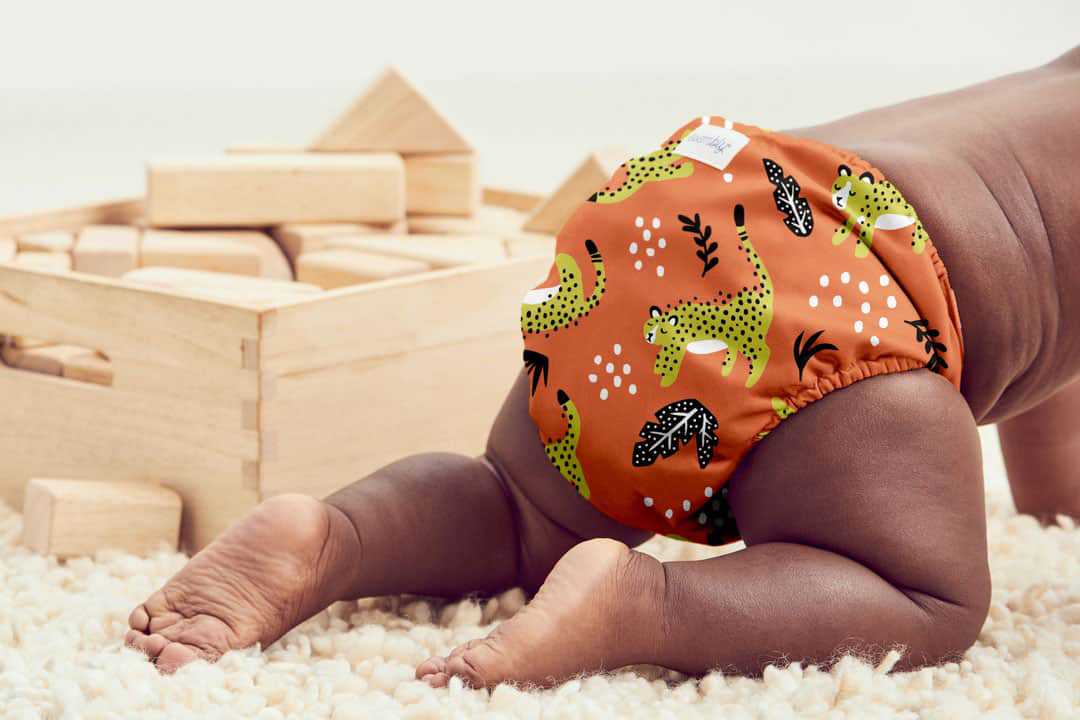 鲜胚移植和冻胚移植的优缺点_鲜胚移植和冻胚移植那个好