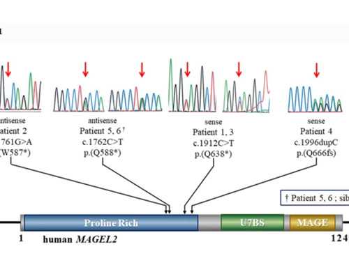 甘肃最出名的三代私人供卵代怀服务医院-甘肃做私人供卵代怀服务最好的医院