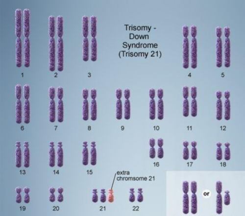 
              长沙妇幼保健院二代代生网站手术费用大概多少？
