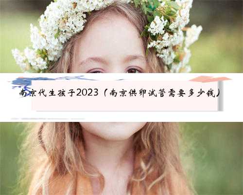 南京代生孩子2023（南京供卵试管需要多少钱）